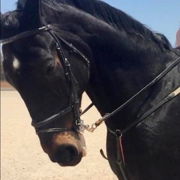 Meet your Posher, Maria - Picture 3 of 4